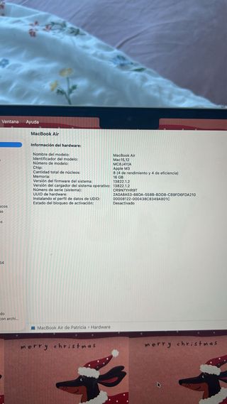 MacBook Air M3 13,6 2024 16GB RAM