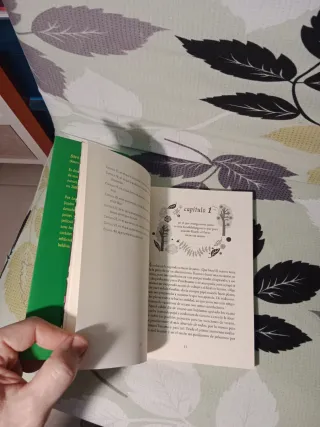 Los Bandídez. Novela juvenil nórdica Siri Kolu