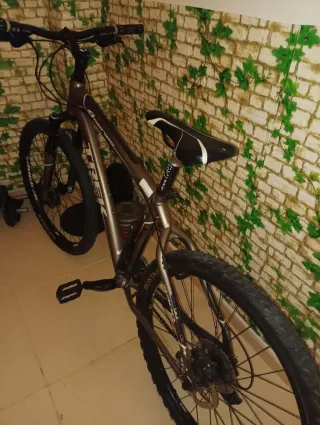 Bicicleta Trek 18 46cm