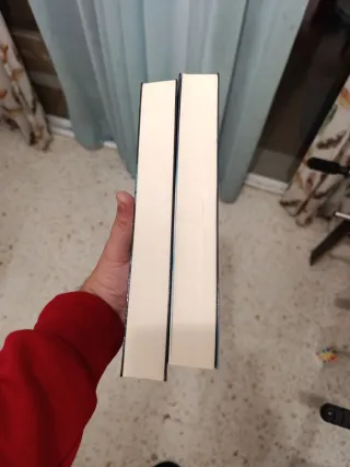 Pack 2 libros. Paola Boutellier