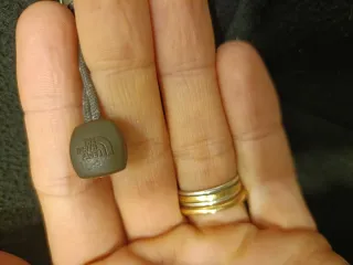 Polar The North Face Negro