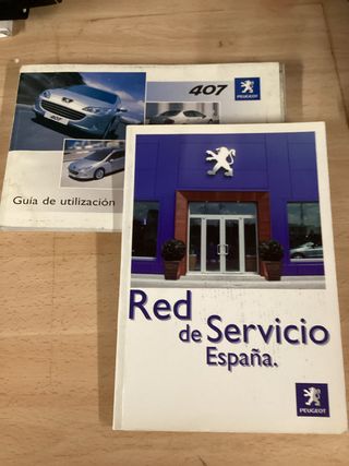 Manual Peugeot 407 (2009)