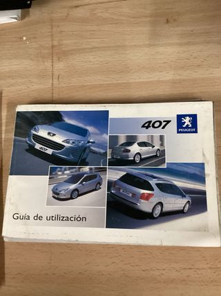 Manual Peugeot 407 (2009)