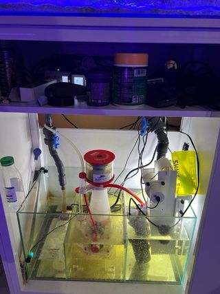 Acuario Marino Completo