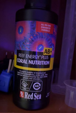 Acuario Marino Completo