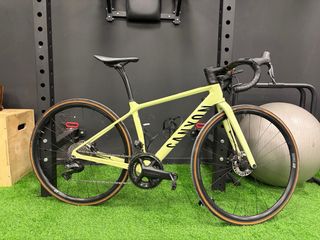 Canyon Endurace Amarillo