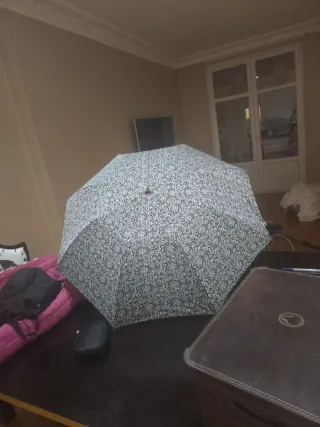 Paraguas manual estampado