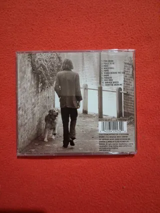 Nick Drake - Pink Moon