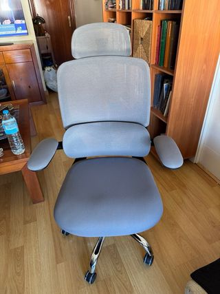 Silla de escritorio ergonómica gris