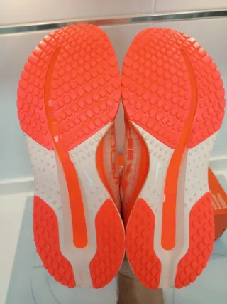 Nike Pegasus Premium Talla 41