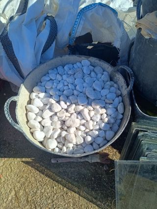 Piedra Calcarea Blanca Decoración Jardín