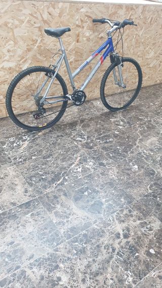 Bicicleta de montaña Boomerang