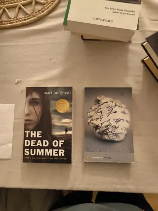 Lote de novelas en inglés