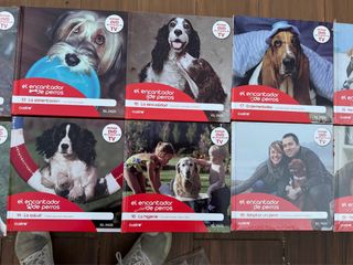 Colección El Encantador de Perros DVD