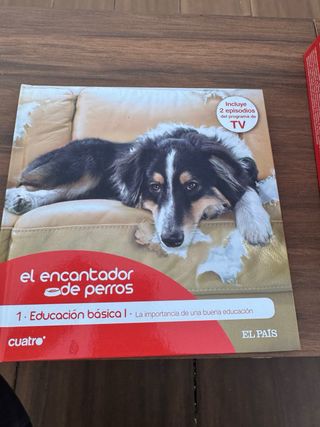 Colección El Encantador de Perros DVD