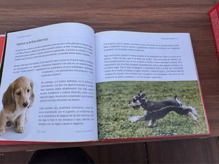 Colección El Encantador de Perros DVD