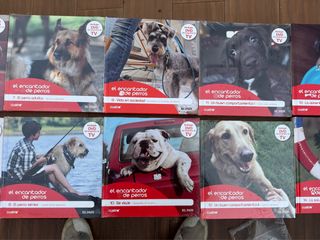 Colección El Encantador de Perros DVD