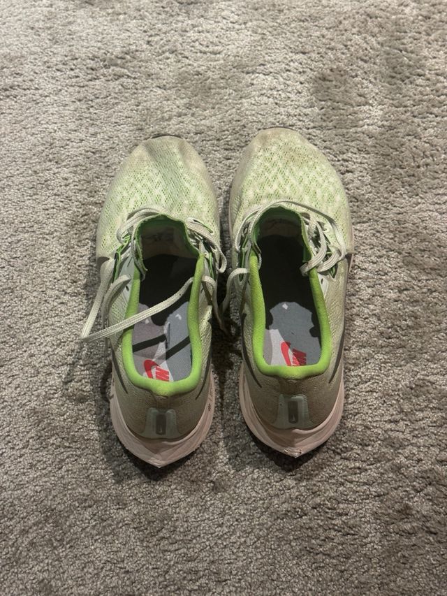 Nike Pegasus 36 Verde