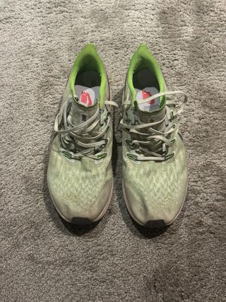 Nike Pegasus 36 Verde