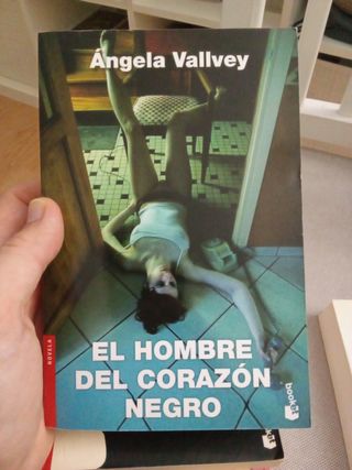 Lote Ángela Vallvey