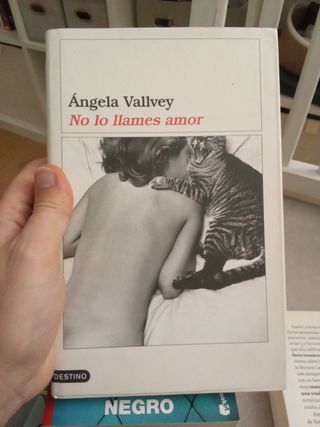 Lote Ángela Vallvey