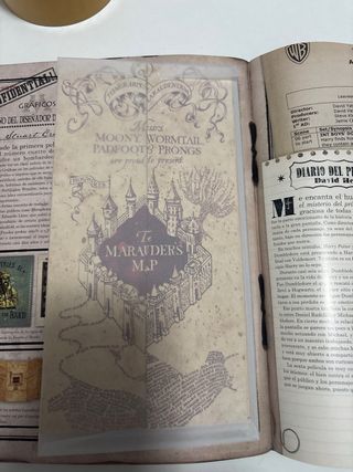 Los tesoros de Harry Potter. Edición actualizada