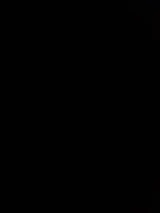 4x Muelles Suspensión Audi A4 B7