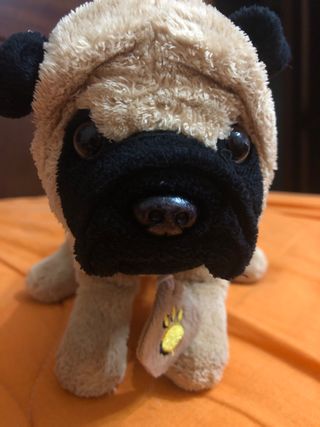 Peluche cane carlino morbido