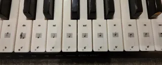 Teclado Casio LK-136 61 Teclas Luminosas