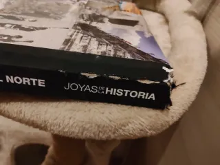 Libro joyas de la historia- america del norte