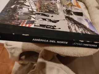 Libro joyas de la historia- america del norte