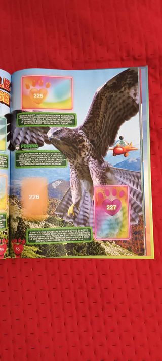 Album Amici Cucciolotti 2026 Completo