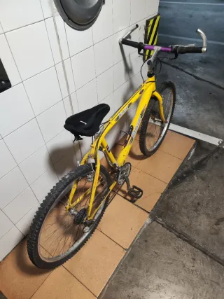 Bicicleta de Montaña
