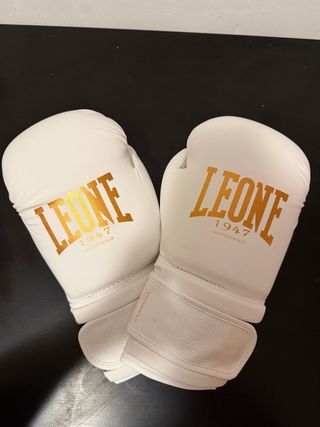 Guantes Boxeo Leone 14Oz y Vendas Venum