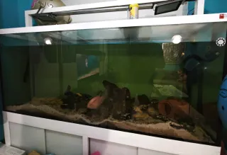 Acuario 600 Litros