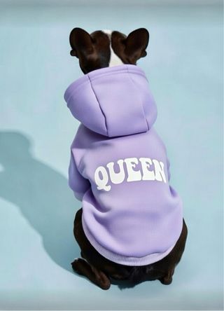 Ropa personalizada para perros / gatos / conejos