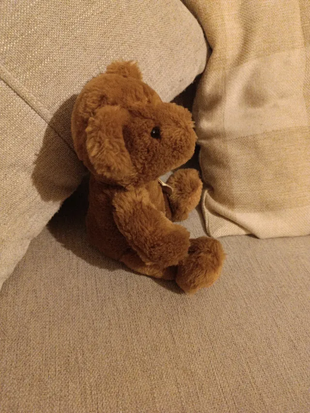 Oso de peluche de colección