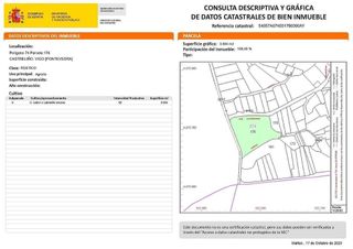 Terreno en venta en Salgueira - O Castaño en Vigo