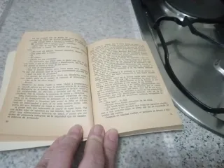 La Dama de las Camelias - Dumas (hijo)