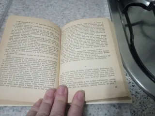 La Dama de las Camelias - Dumas (hijo)