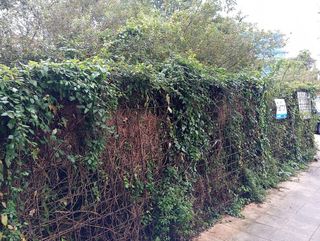 Terreno en venta en As Travesas - Balaídos en Vigo