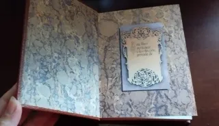 Entremeses Y Novelas Escogidas