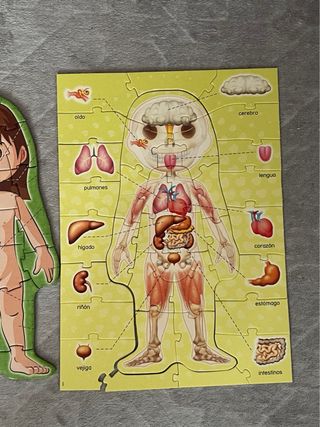 Puzzle Cuerpo Humano Educa 4-7 Años