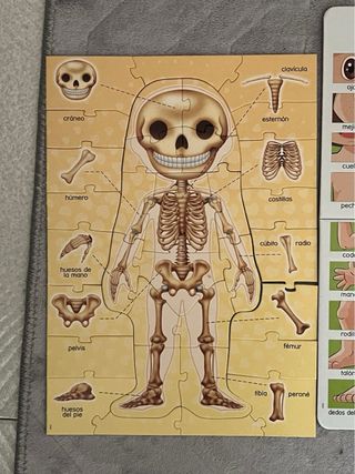 Puzzle Cuerpo Humano Educa 4-7 Años