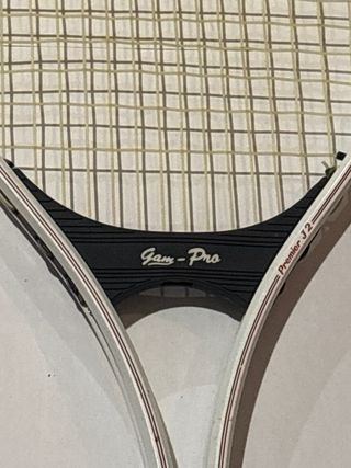 Raqueta Dunlop Sport G25