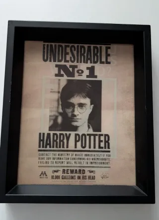 Cuadro 3D Harry Potter Undesirable No. 1