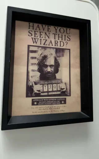 Cuadro 3D Harry Potter Undesirable No. 1