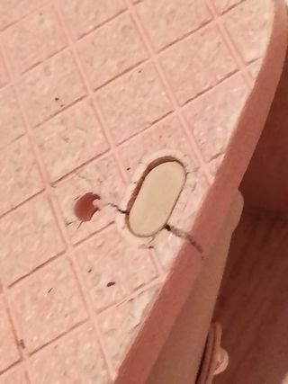 Chanclas rosas con cadena dorada