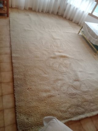 Alfombra de lana beige 300x200 cm