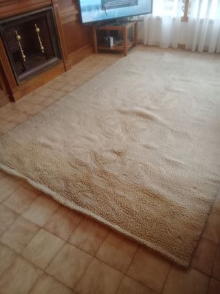 Alfombra de lana beige 300x200 cm